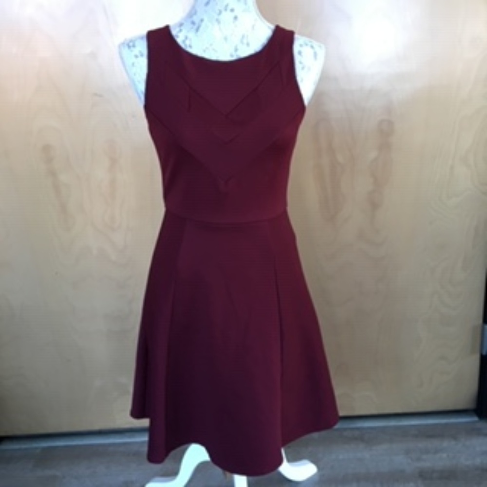 Maroon Wine Fit and Flare Skater Dress XS